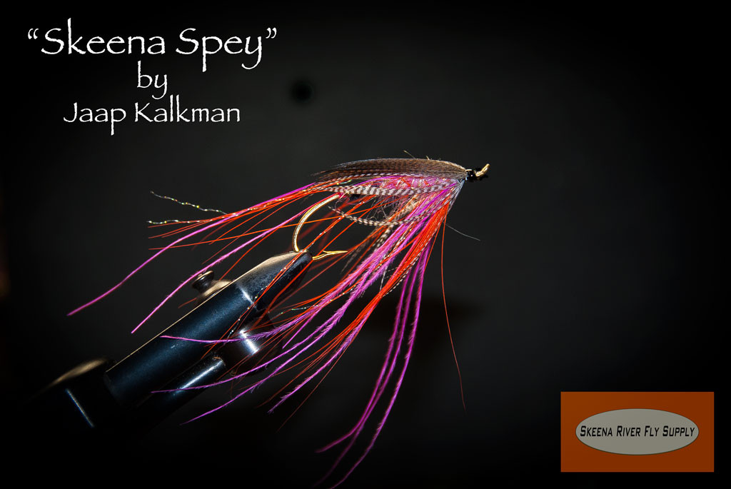 Skeena-spey-SBS-00