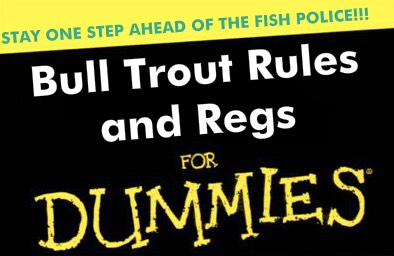 Bull Trout FOr Dummies.