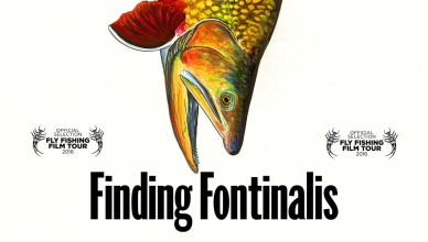Finding-Fontinalis-Official-F3T-Trailer-388x220