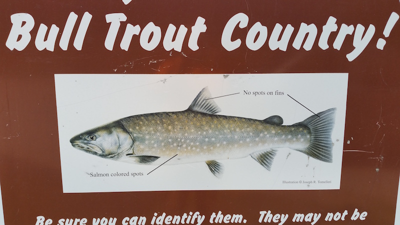 Bull_trout_country_sign_-_Northern_Idaho