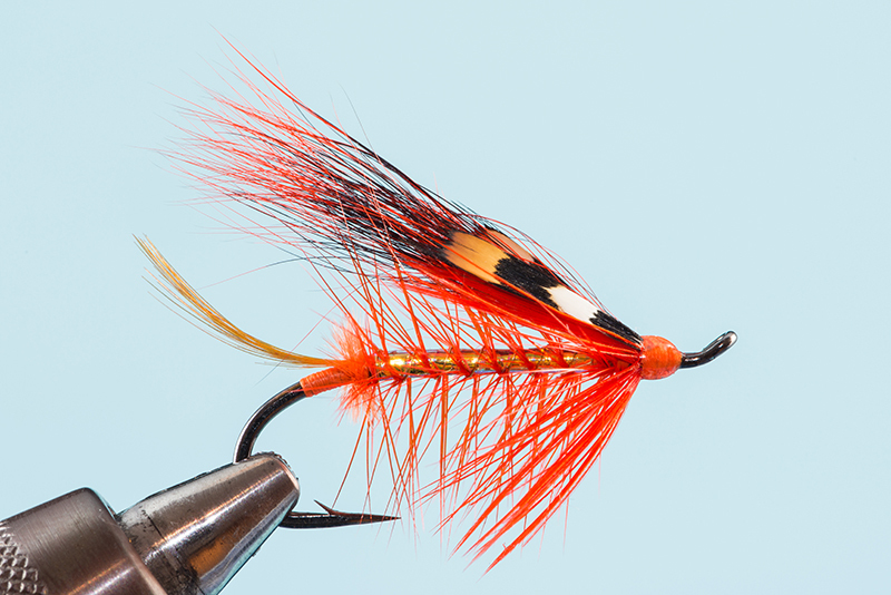Salmon fly tied by Chris Reeve for the Art of the Atlantic Salmon Fly Symposium in Seattle, June 2016. (Photo: Courtesy Chris Reeve)