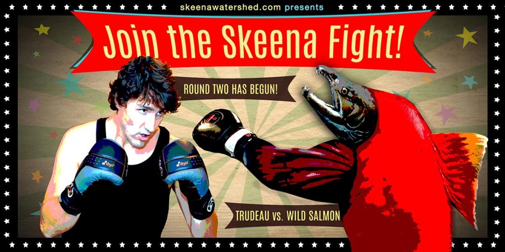 join-the-skeena-fight