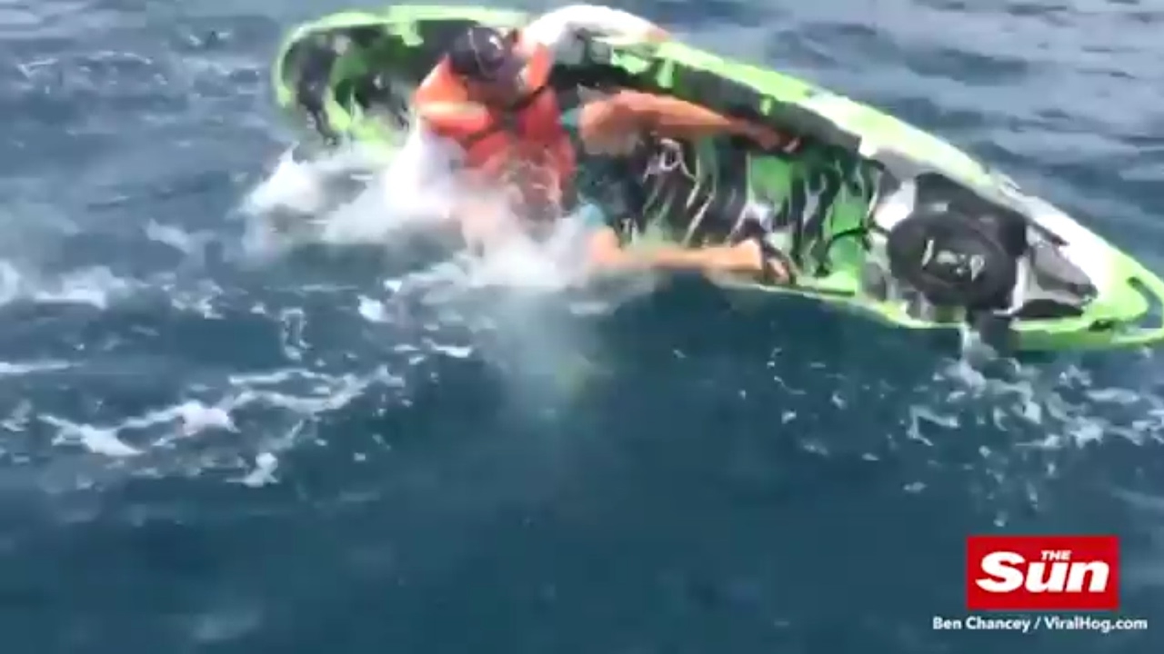 7ft bull shark drags fisherman from his kayak - Moldy Chum