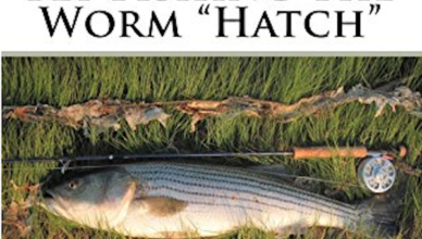 fly fishing for striped bass Archives - Moldy Chum
