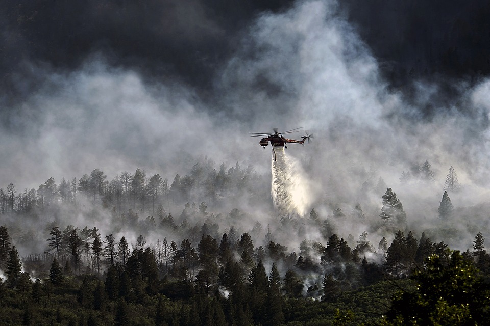 A helicopter dropping water on a forest fisre