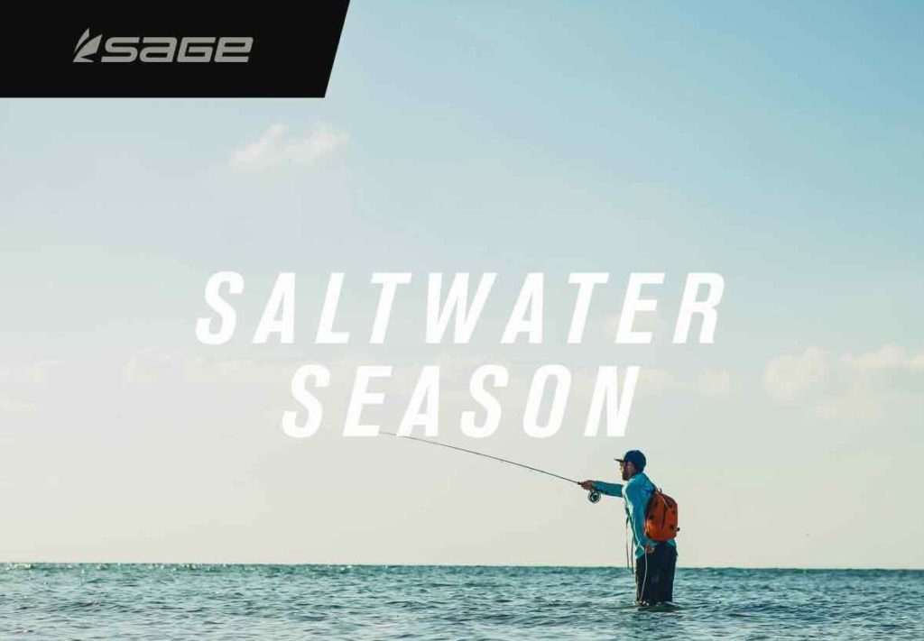 Saltwater Season