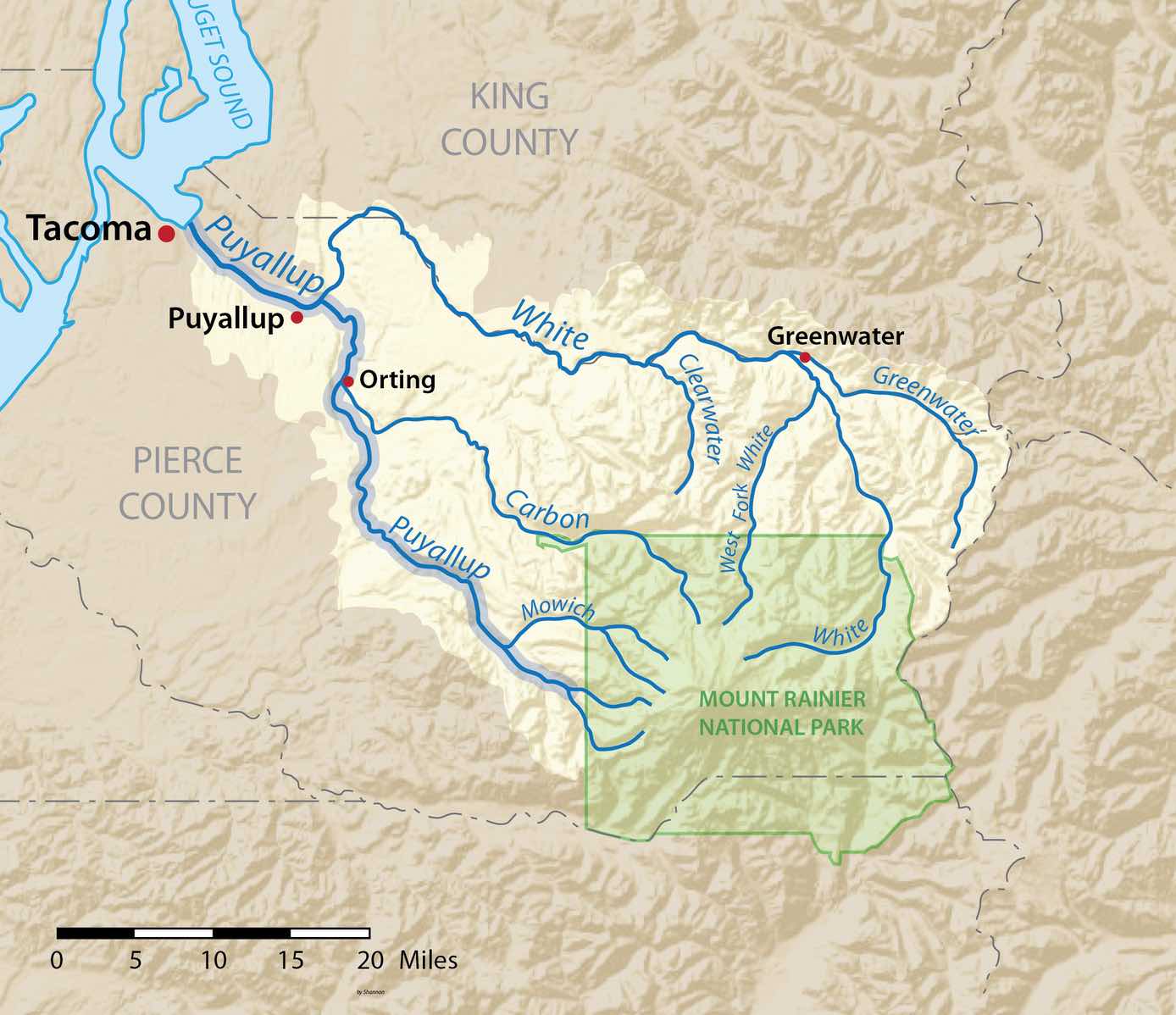 Rubber debris litters miles of Puyallup River - Moldy Chum