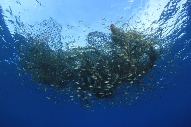 New study reveals 'staggering' scale of lost fishing gear drifting in  Earth's oceans, Fish