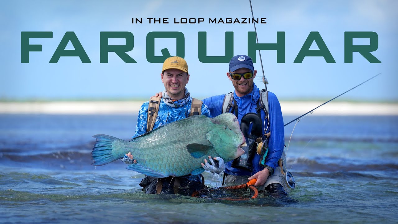 Fly Fishing the Pristine Flats of the Seychelles Moldy Chum